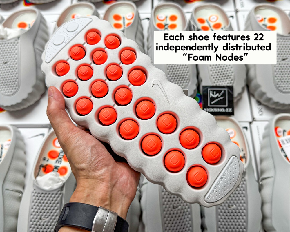 1776677384509848.jpg