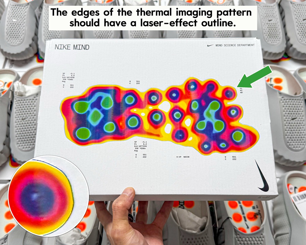 1776677385279712.jpg